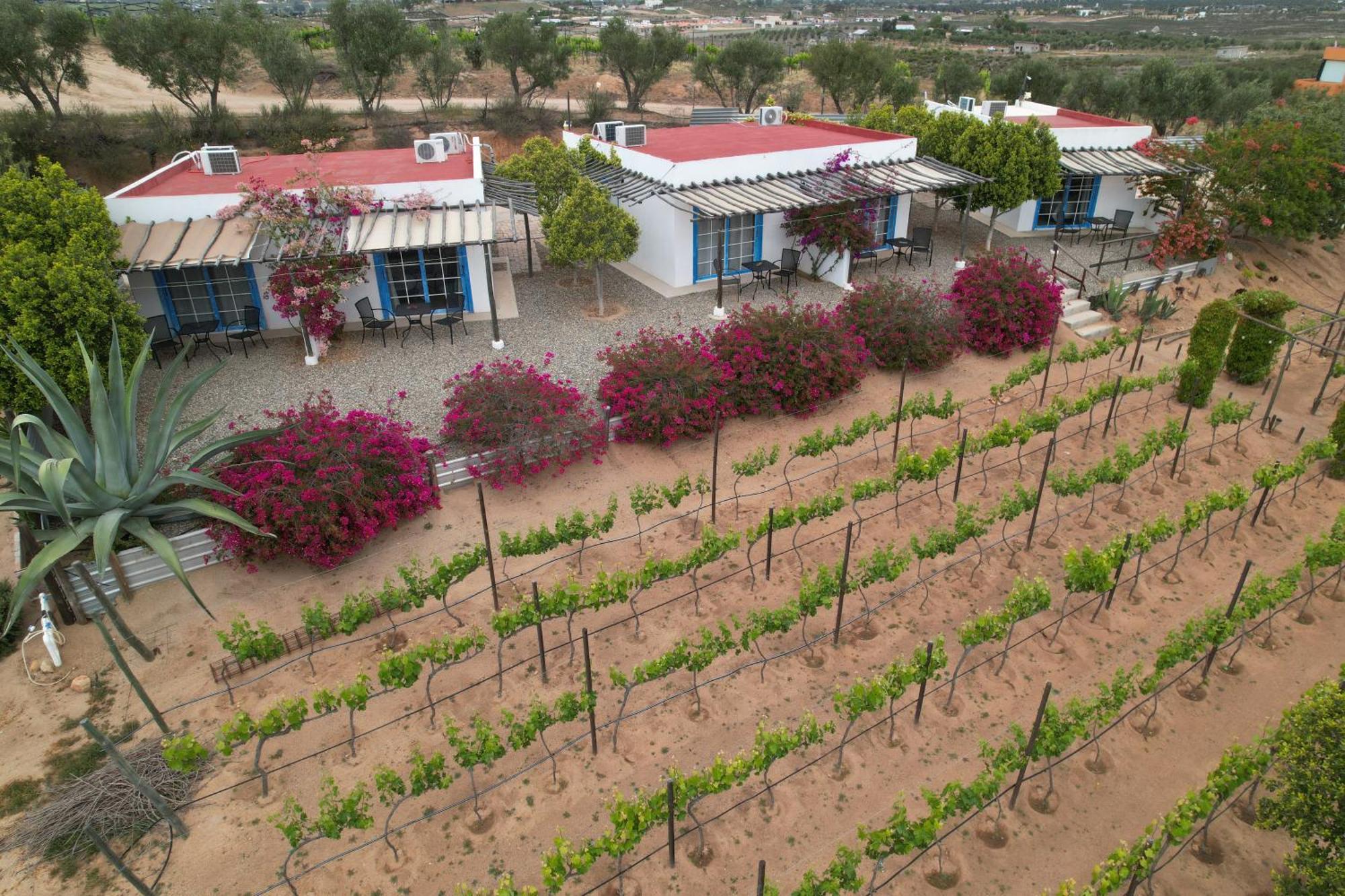 Hotel Santerra Valle de Guadalupe Exterior foto
